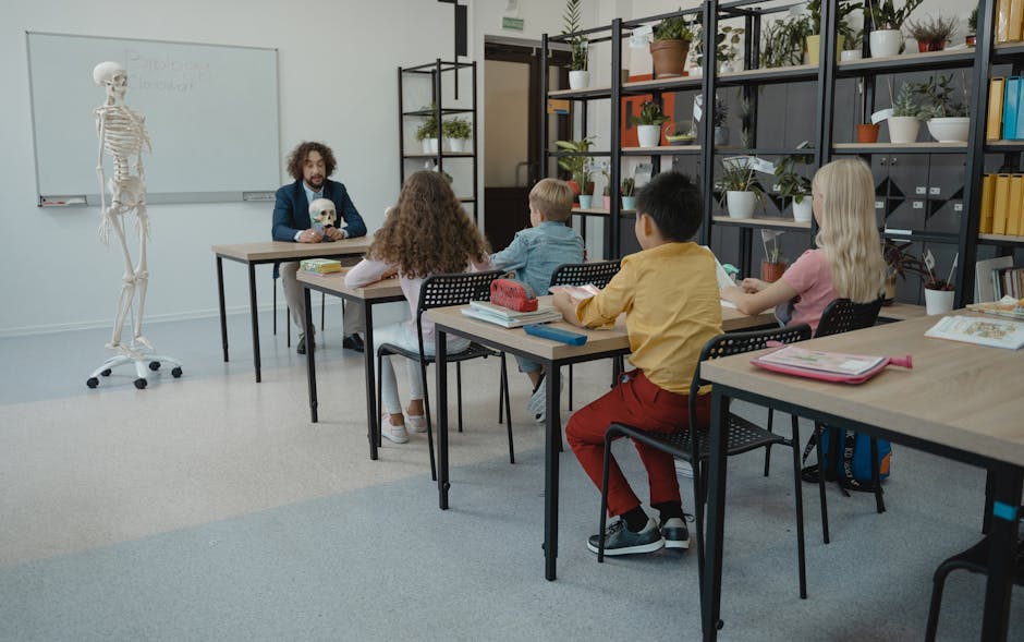 Children in an elementary classroom learning biology with a teacher and skeleton model